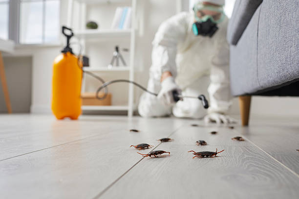 Commercial Kitchen Cockroach Control in Tullytown